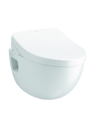 Wall Hung WC